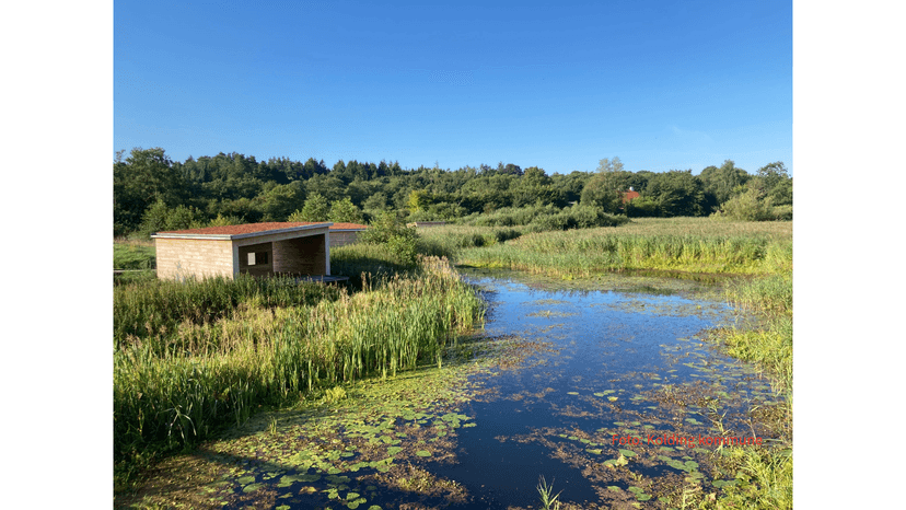 Walk'n'Snork følger med strømmen til Kolding
